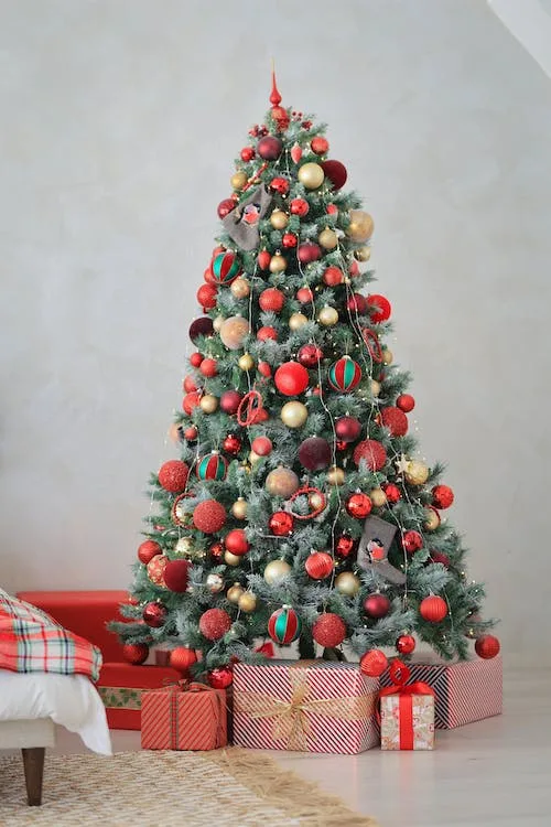 sapin